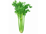 Celery