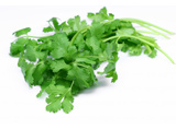 Coriander