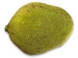 Jackfruit