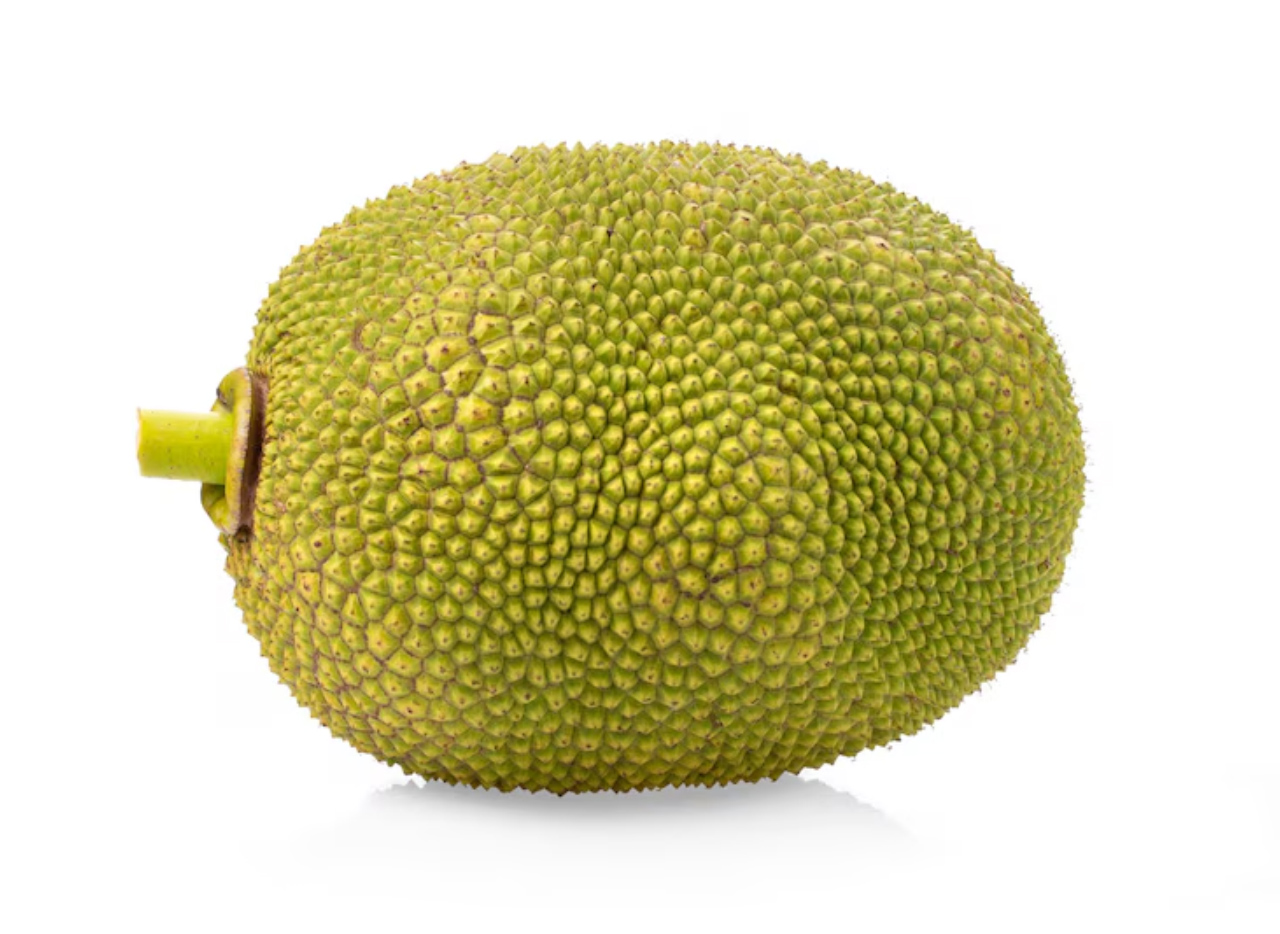 JackFruit