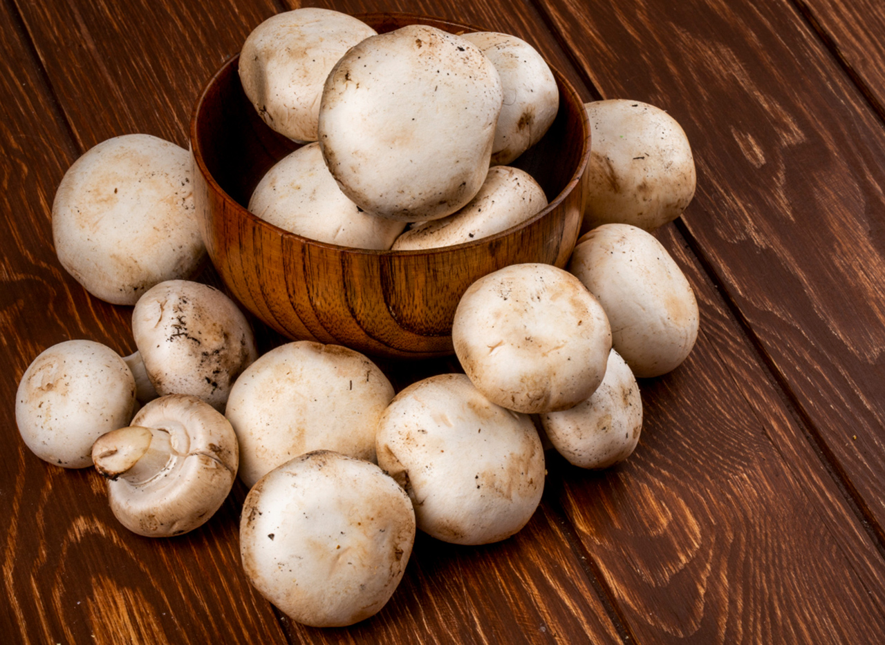 Mushroom Farming